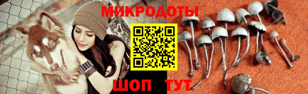Санкт-Петербург  Галлюциногенные грибы MAGIC MUSHROOMS  Вход с VPN 